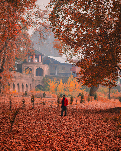 Mystical Kashmir Tour